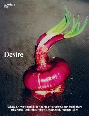 Desire: Aperture 253: Winter 2023 Issue - cover