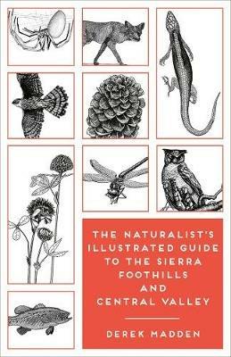 The Naturalist's Illustrated Guide to the Sierra Foothills and Central Valley - Derek Madden,Ken Charters,Erinn Madden - cover
