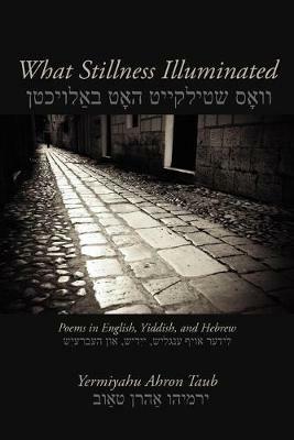 What Stillness Illuminated: Poems in English, Yiddish, and Hebrew - Yermiyahu Ahron Taub - cover