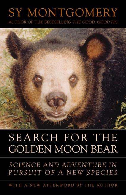 Search for the Golden Moon Bear