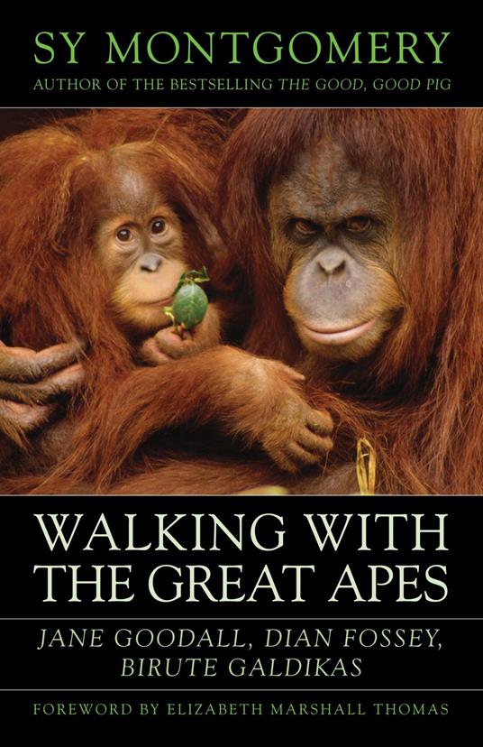 Walking with the Great Apes