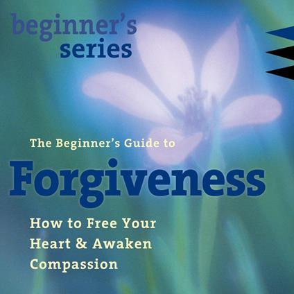 The Beginner’s Guide to Forgiveness