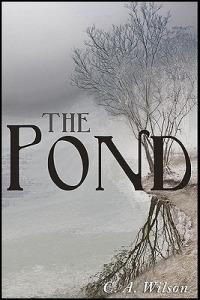 The Pond - C A Wilson - cover