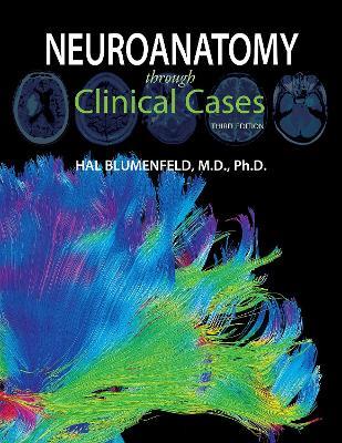 Neuroanatomy through Clinical Cases - Hal Blumenfeld - cover