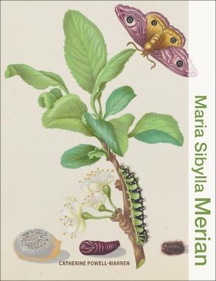 Maria Sibylla Merian - Catherine Powell-Warren - cover