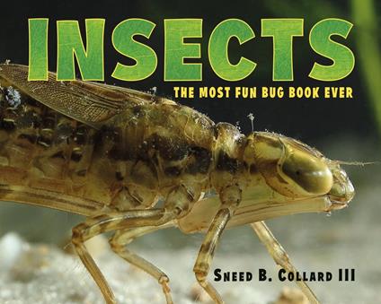 Insects - Sneed B. Collard III - ebook