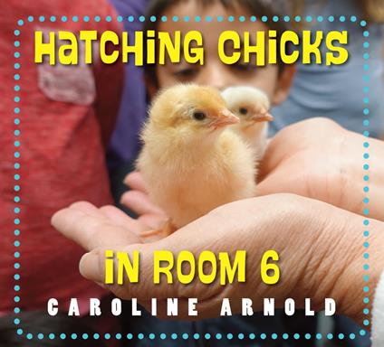 Hatching Chicks in Room 6 - Caroline Arnold - ebook