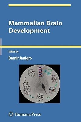 Mammalian Brain Development - cover