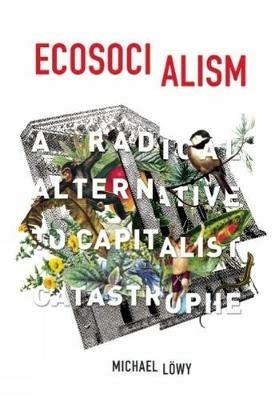 Ecosocialism: A Radical Alternative to Capitalist Catastrophe - Michael Lowy - cover