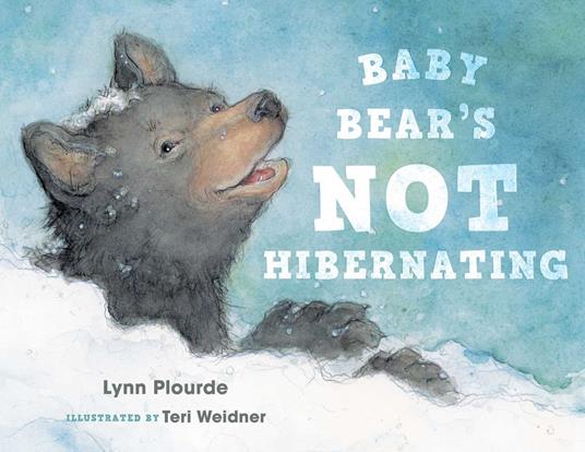 Baby Bear's Not Hibernating - Plourde Lynn - ebook