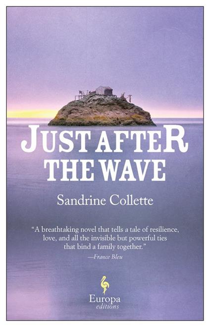 Just after the wave - Sandrine Collette - copertina