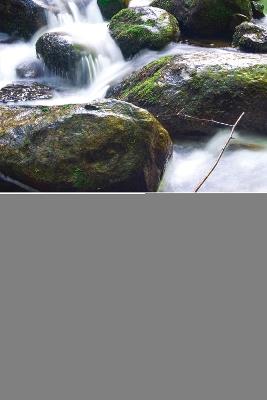 Leading for Excellence: A Twelve Step Program to Student Achievement - Thomas R. Harvey,Bonita M. Drolet,Douglas P. DeVore - cover