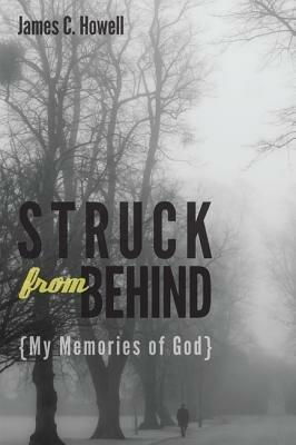 Struck from Behind: My Memories of God - James C Howell - cover