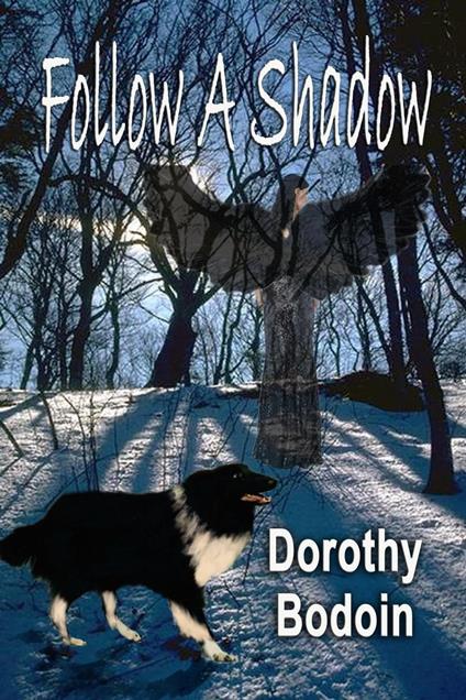 Follow a Shadow - Dorothy Bodoin - ebook