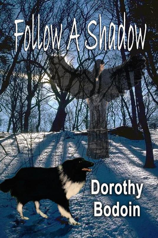 Follow a Shadow - Dorothy Bodoin - ebook