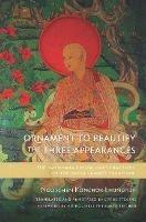 Ornament to Beautify the Three Appearances: The Mahayana Preliminary Practices of the Sakya Lamdre Tradition