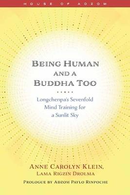 Being Human and a Buddha Too: Longchenpa's Seven Trainings for a Sunlit Sky - Anne Klein - cover