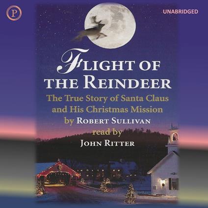 Flight of the Reindeer