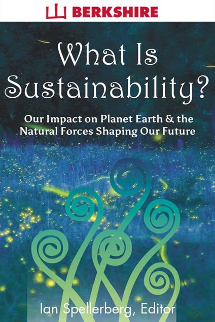What Is Sustainability?