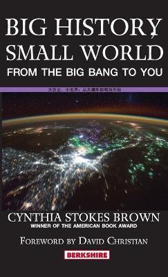 Big History, Small World: From the Big Bang to You - Cynthia Stokes Brown - cover