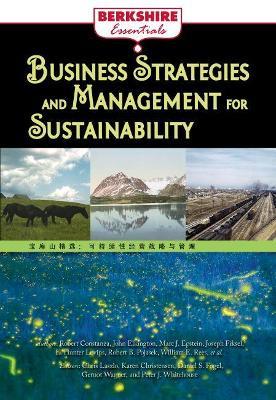 Business Strategies and Management for Sustainability - cover