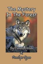 The Mystery In The Forest