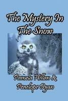 The Mystery In The Snow