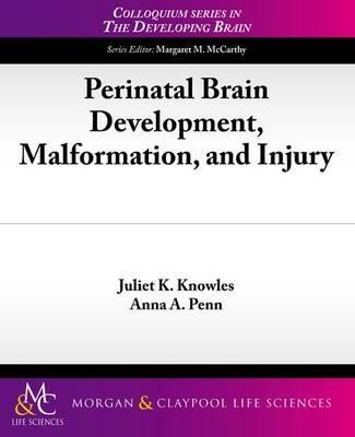Perinatal Brain Development, Malformation, and Injury - Anne Penn,Juliet Knowles - cover
