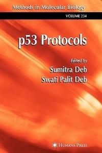 p53 Protocols - cover