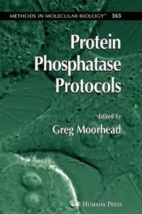 Protein Phosphatase Protocols - cover