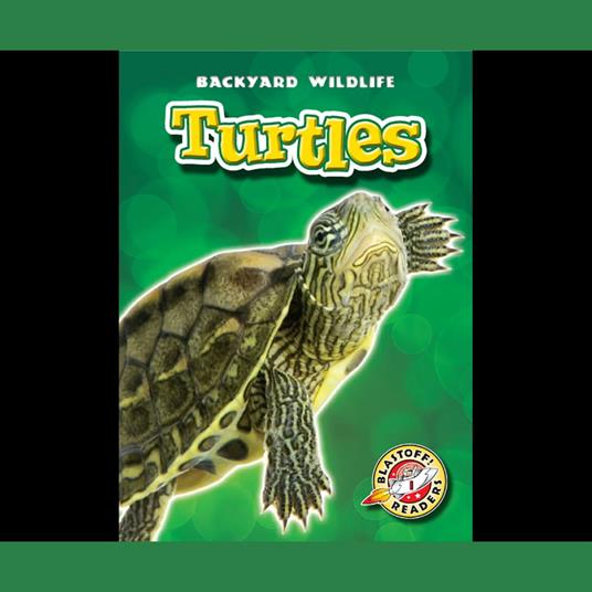 Turtles