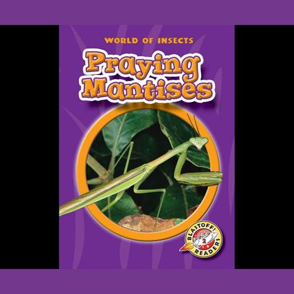 Praying Mantises