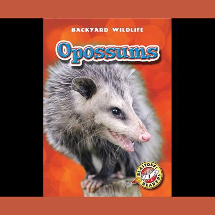 Opossums