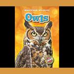 Owls