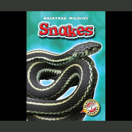 Snakes