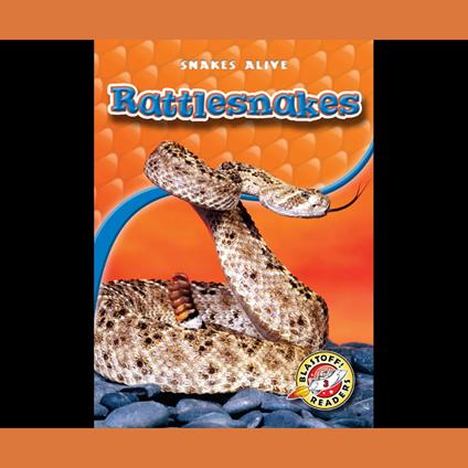 Rattlesnakes
