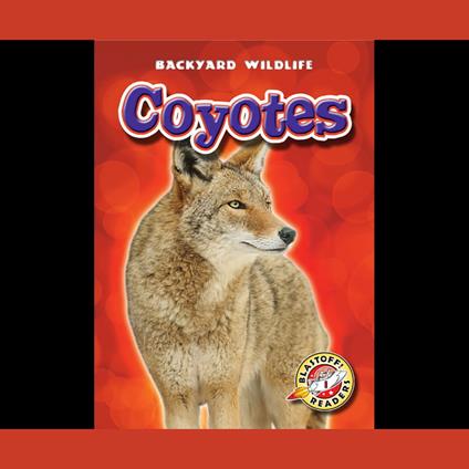 Coyotes