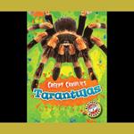 Tarantulas
