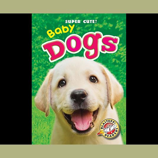Baby Dogs
