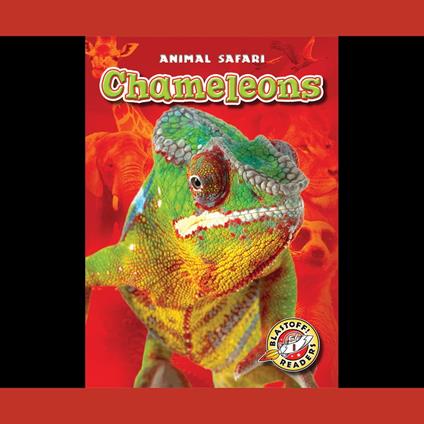 Chameleons