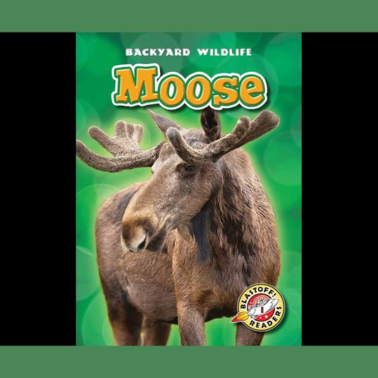 Moose