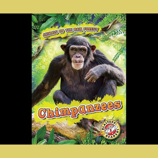 Chimpanzees