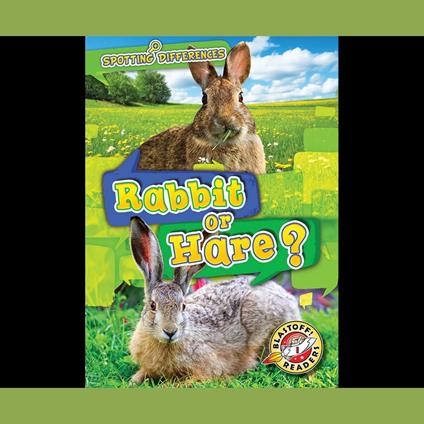 Rabbit or Hare?