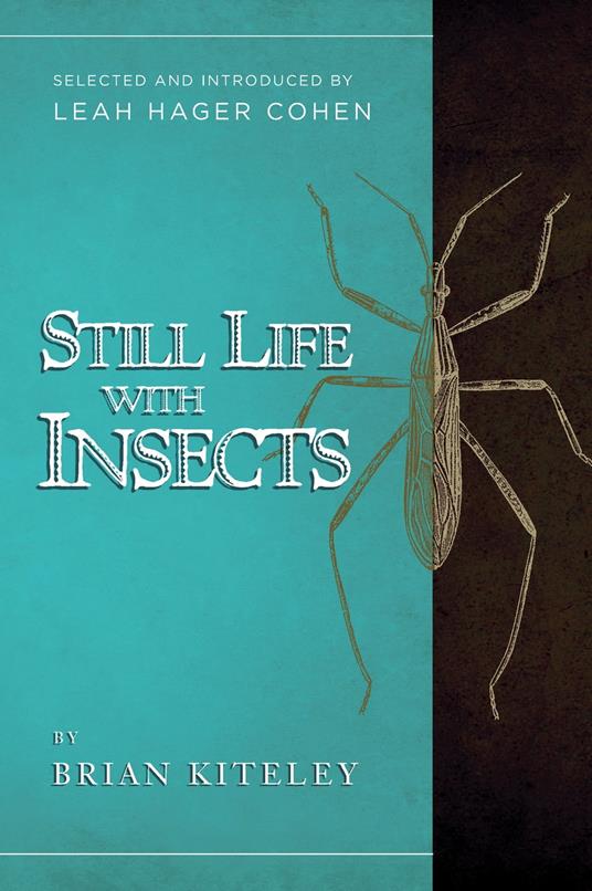Still Life with Insects