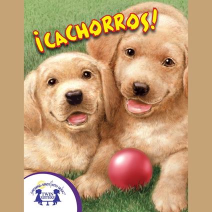 ¡Cachorros!