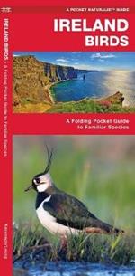 Ireland Birds: A Folding Pocket Guide to Familiar Species