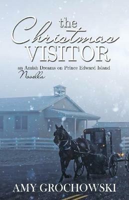 The Christmas Visitor - Amy Grochowski - cover