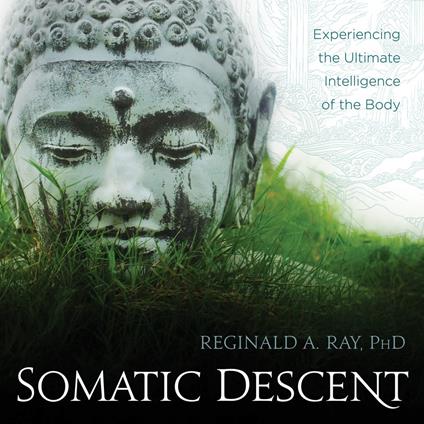 Somatic Descent