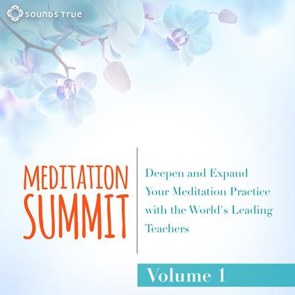 The Meditation Summit: Volume 1