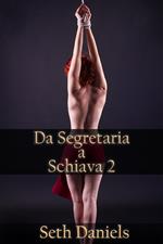 Da Segretaria a Schiava 2